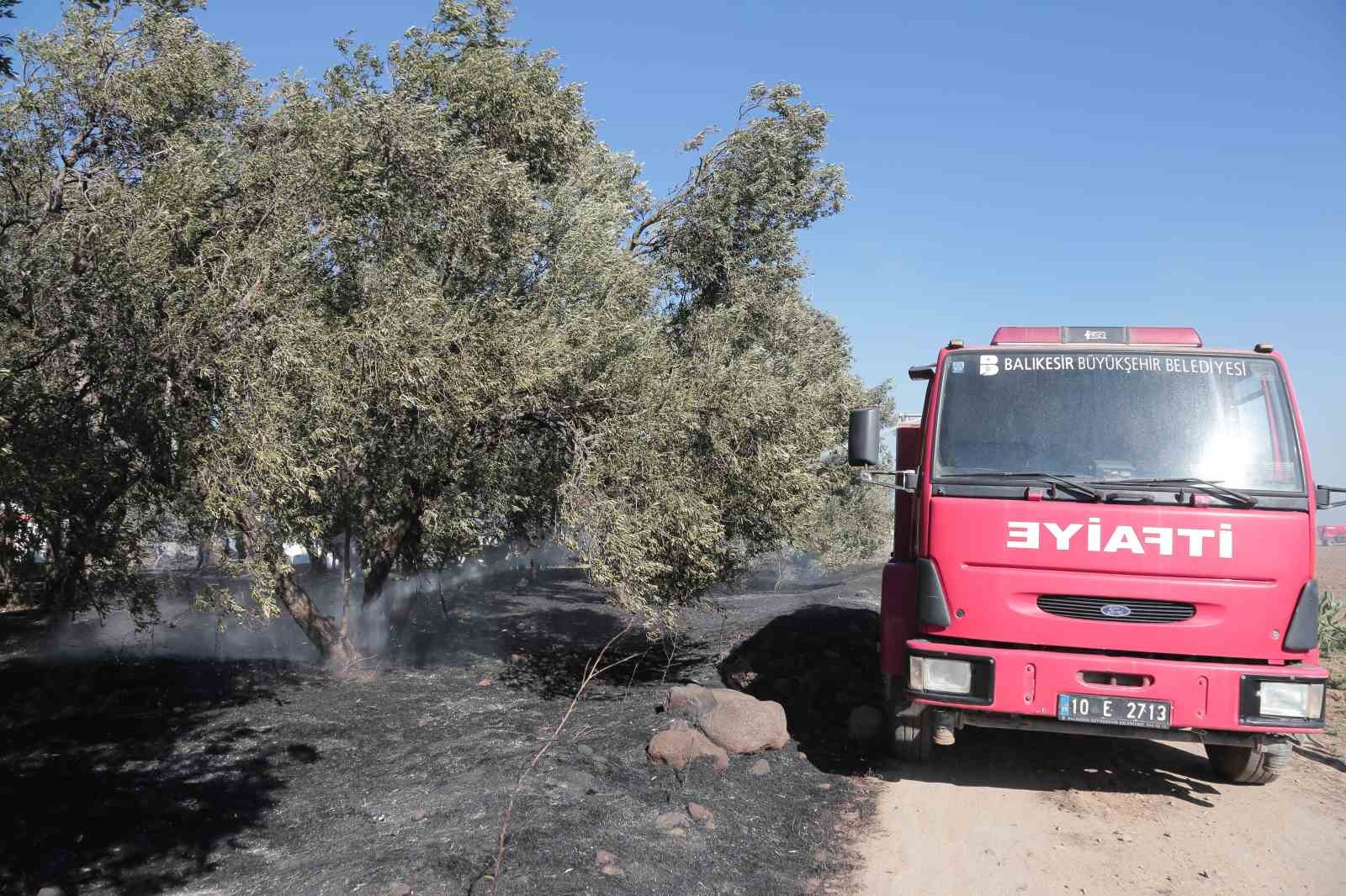 Ayvalık’ta çöp döküm alanında çıkan yangın otluk ve zeytinlik alana sıçradı
