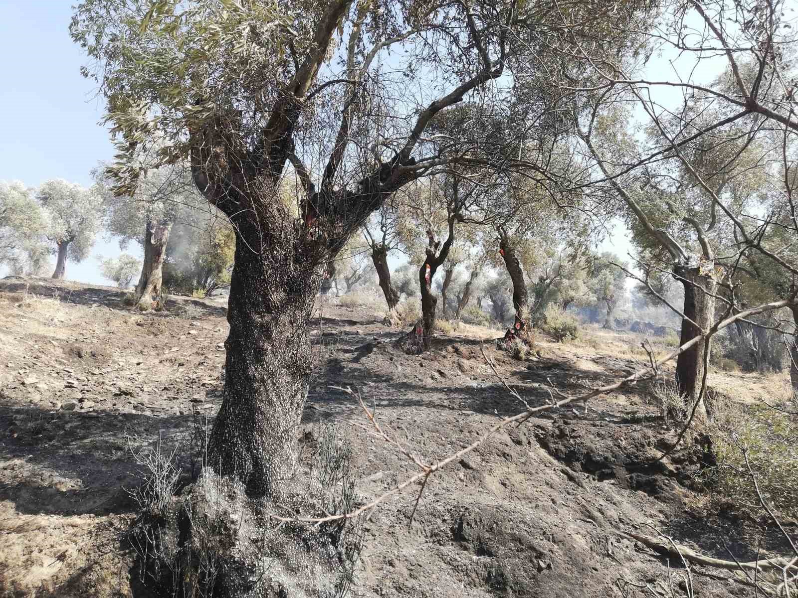 İncelemeler tamamlandı, Bakanlığa afet ihbarı yapılacak
