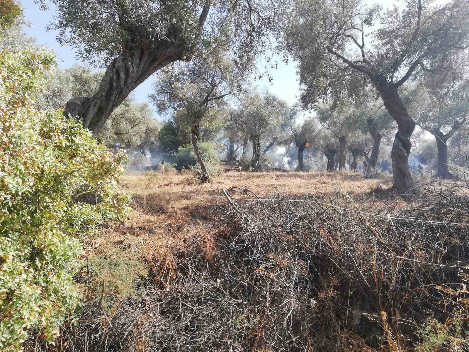 İncelemeler tamamlandı, Bakanlığa afet ihbarı yapılacak
