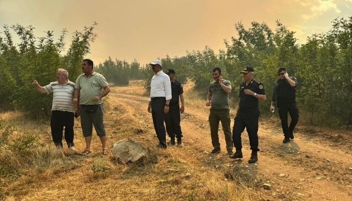 Edirne’de üç köyü etkileyen yangın söndürüldü
