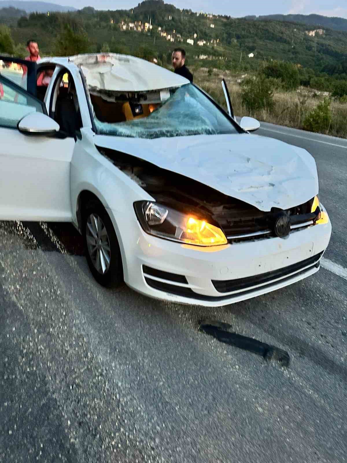 Sakarya’da yola fırlayan geyiğe otomobil çarptı
