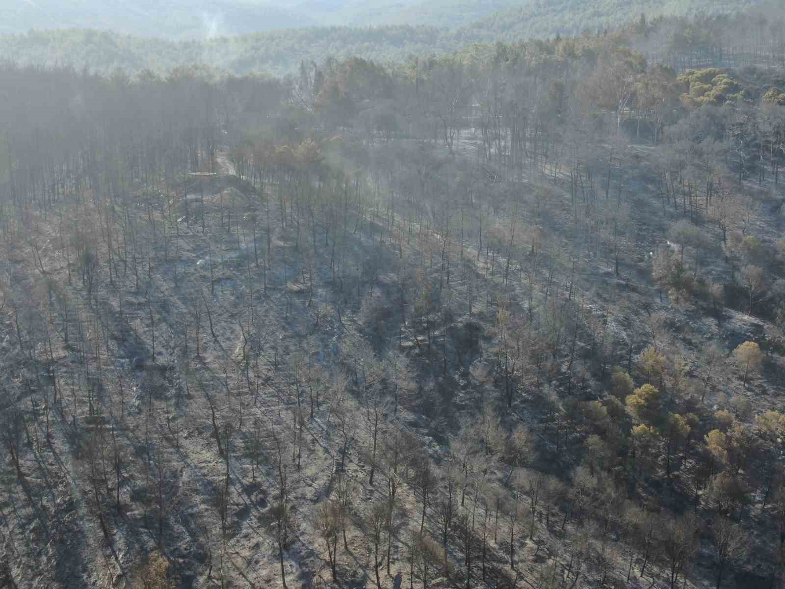 İzmir’de yangının çıktığı nokta olarak değerlendirilen bölge havadan görüntülendi
