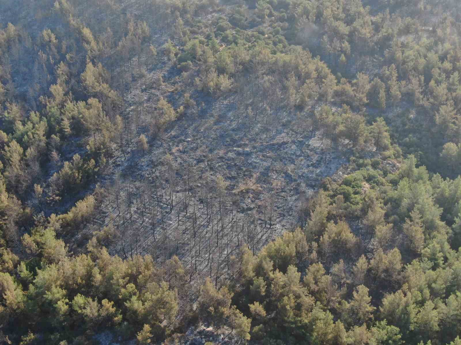 İzmir’de yangının çıktığı nokta olarak değerlendirilen bölge havadan görüntülendi
