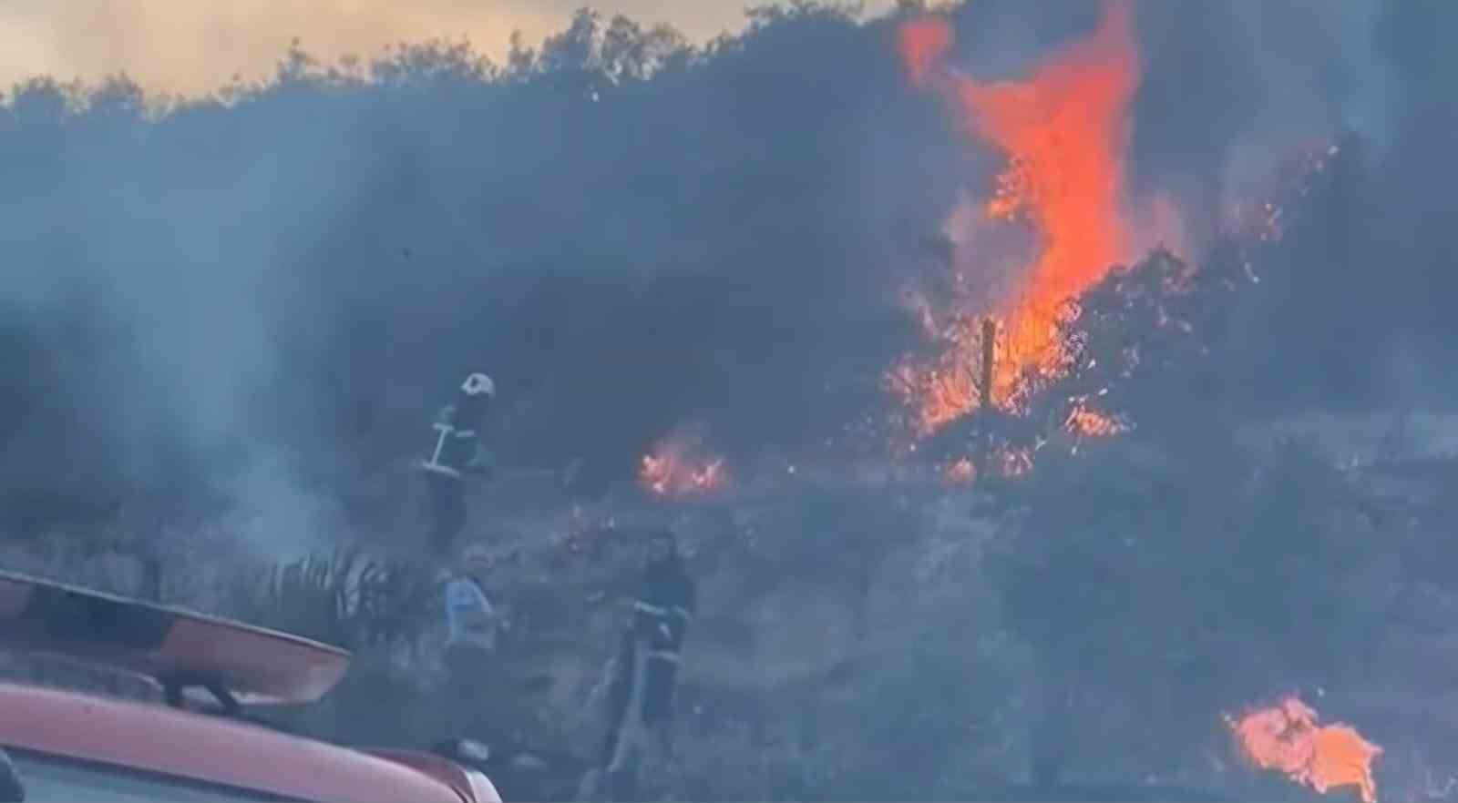 Gaziantep’te orman yangını
