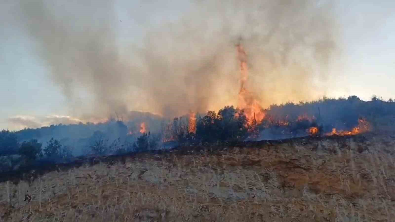 Gaziantep’te orman yangını
