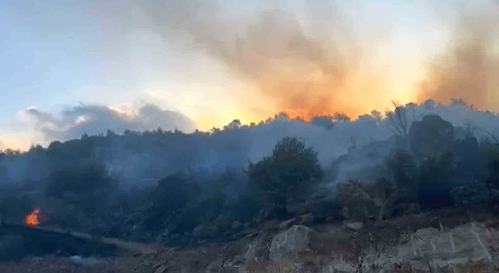 Gaziantep’te orman yangını
