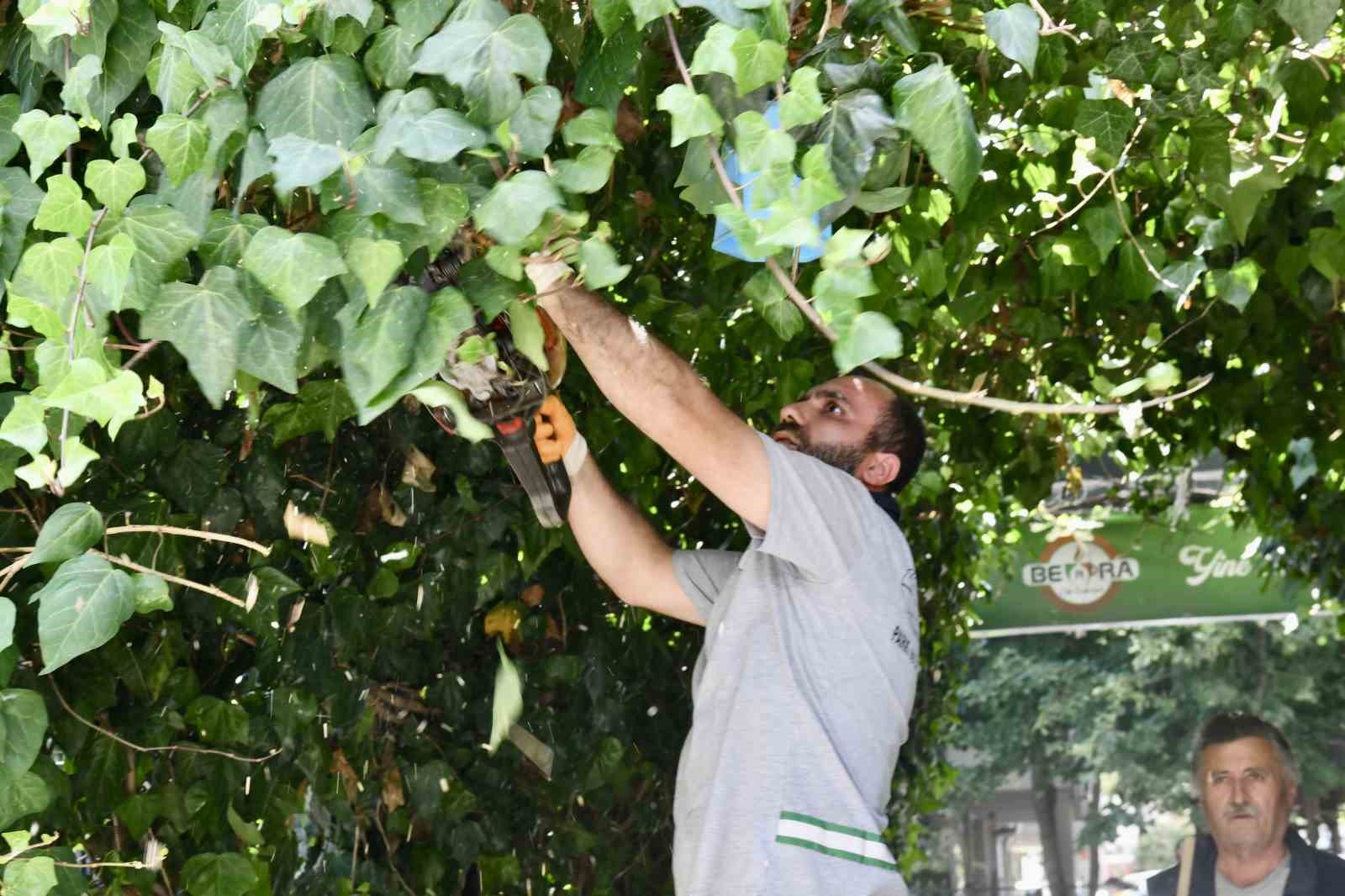 Esenyurt Belediye Başkanı Özer’den parklara “hizmet seferberliği”
