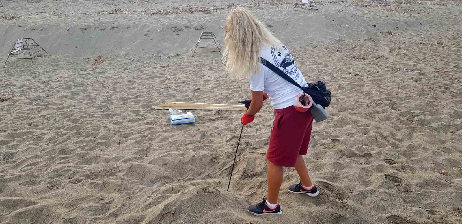 Alanya’da caretta caretta yuvalarında rekor kırıldı
