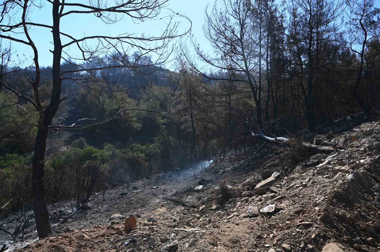 Kuşadası’ndaki orman yangını büyük ölçüde kontrol altına alındı
