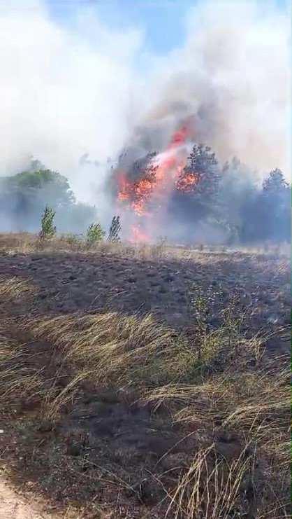 Bursa’da makilik alanda çıkan yangın devam ediyor
