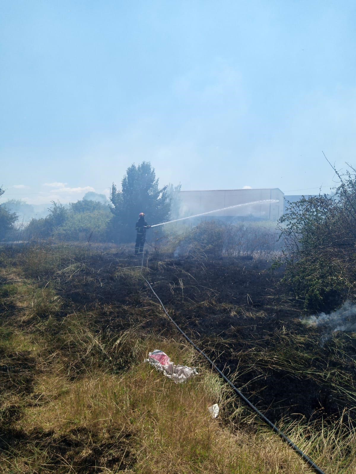 Yalova’da arazi yangını
