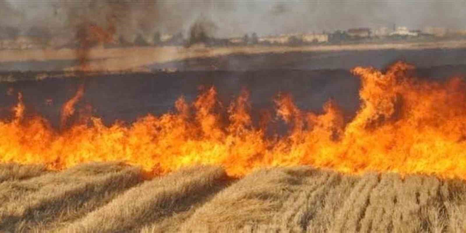 Arabanlı çiftçilere anız yakma yasağıyla ilgili duyuru
