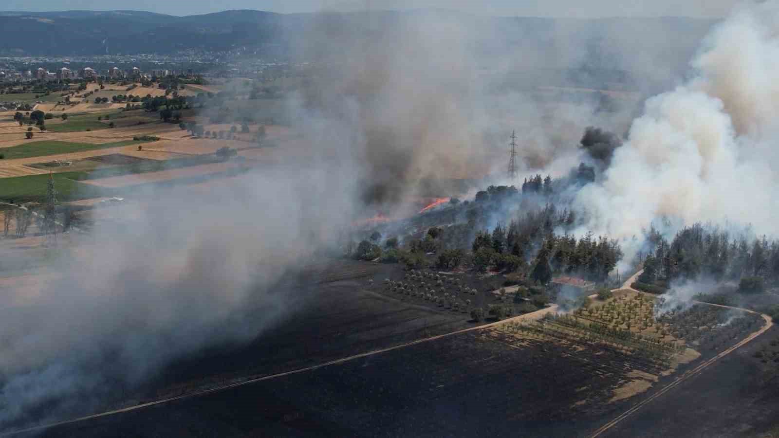 Bursa’daki yangın ormana sıçradı
