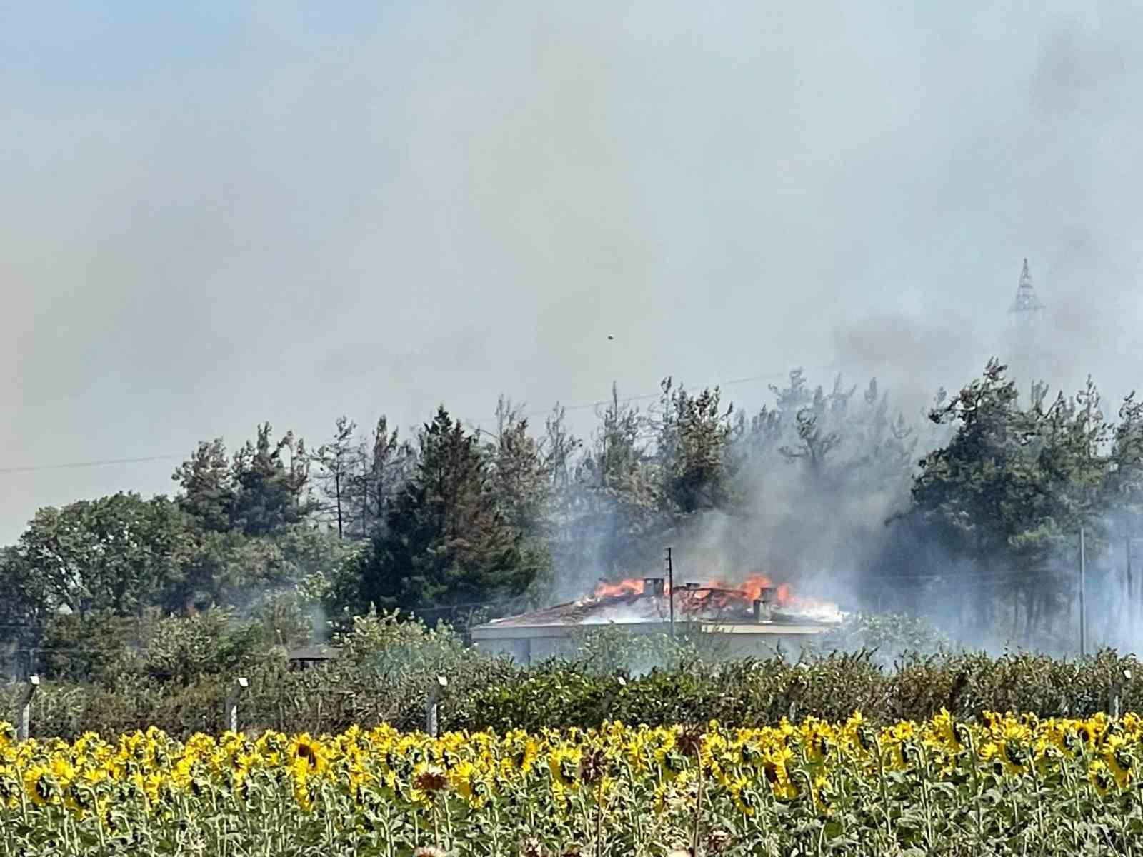 Yangında Uludağ Üniversitesine ait tesisin çatısı yandı
