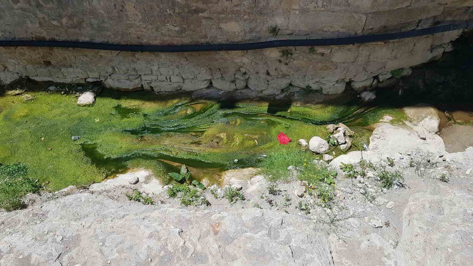 Turizm için açılan Akçasu Deresi yosunla kaplandı
