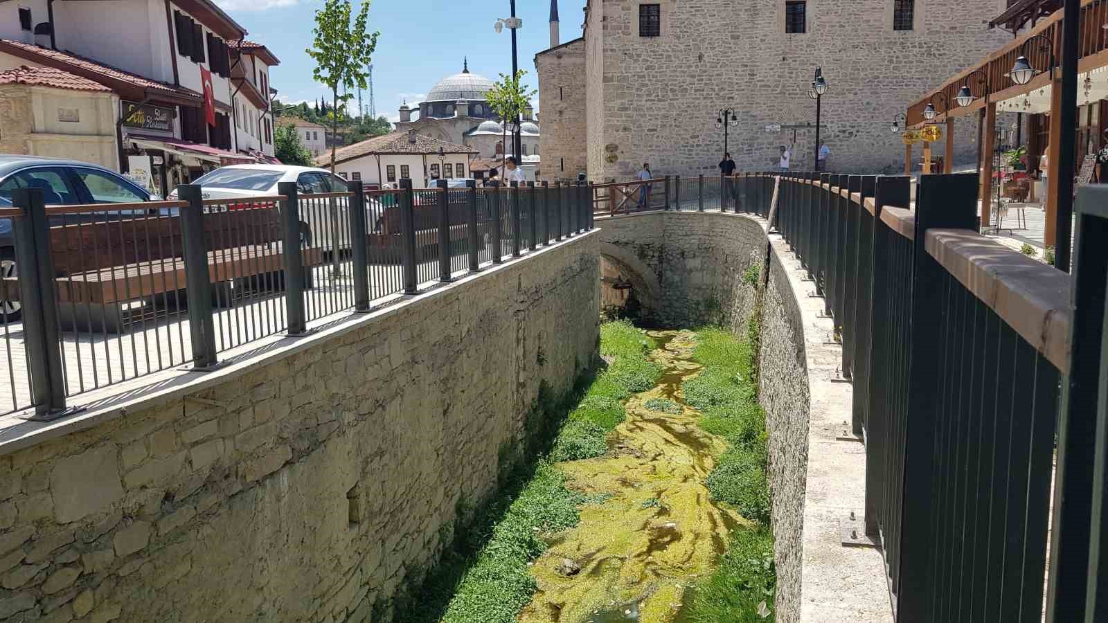 Turizm için açılan Akçasu Deresi yosunla kaplandı
