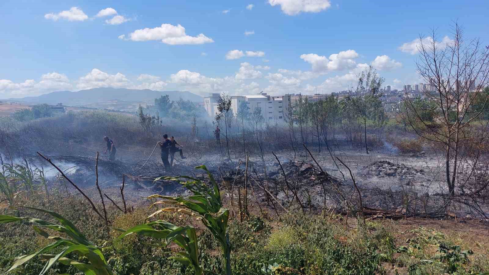 Samsun’da boş arazide yangın çıktı
