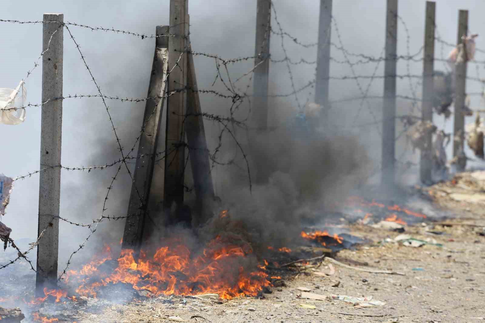 Balıkesir-İzmir sınırı alev yumağına döndü
