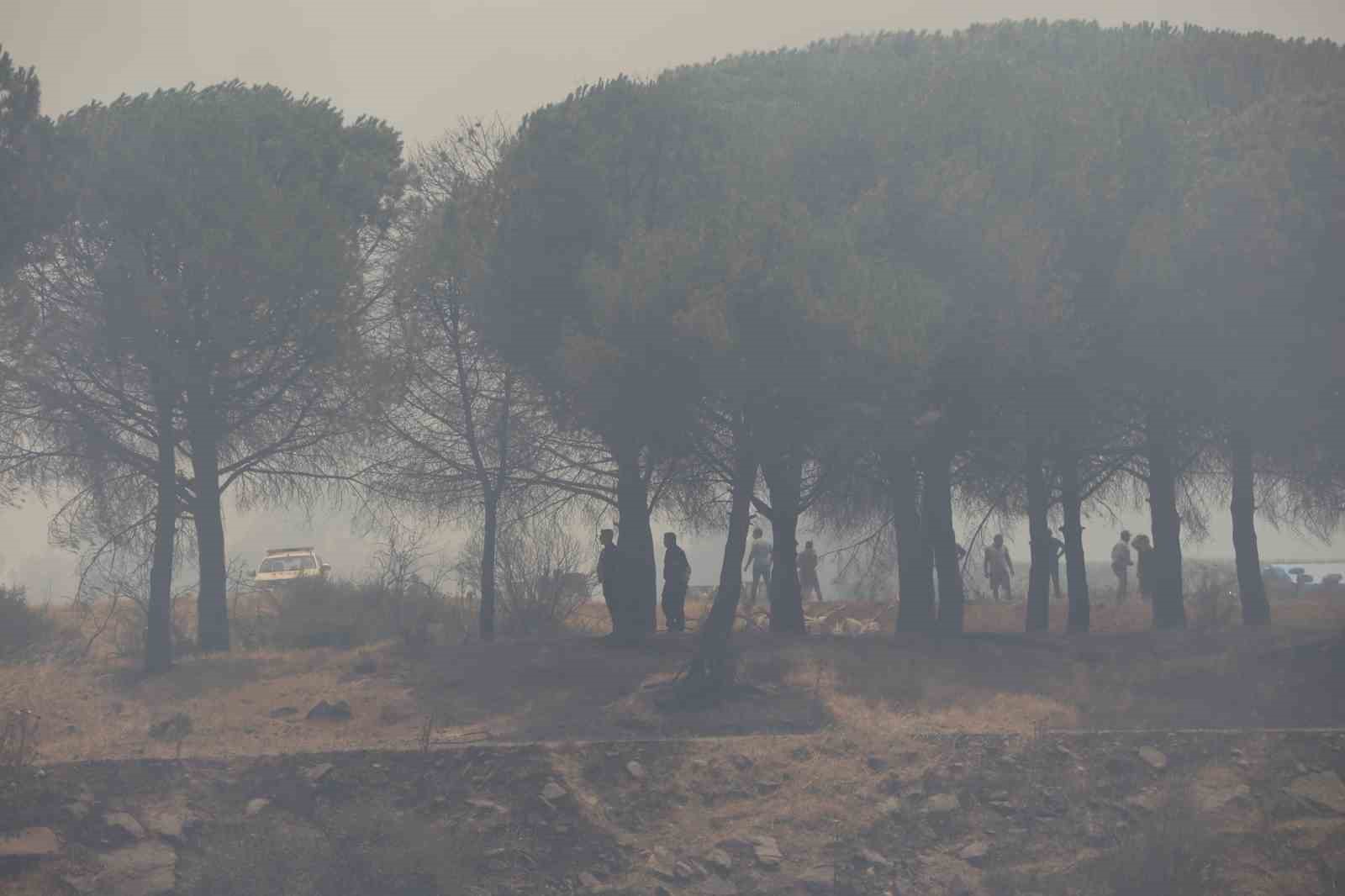 Balıkesir-İzmir sınırı alev yumağına döndü
