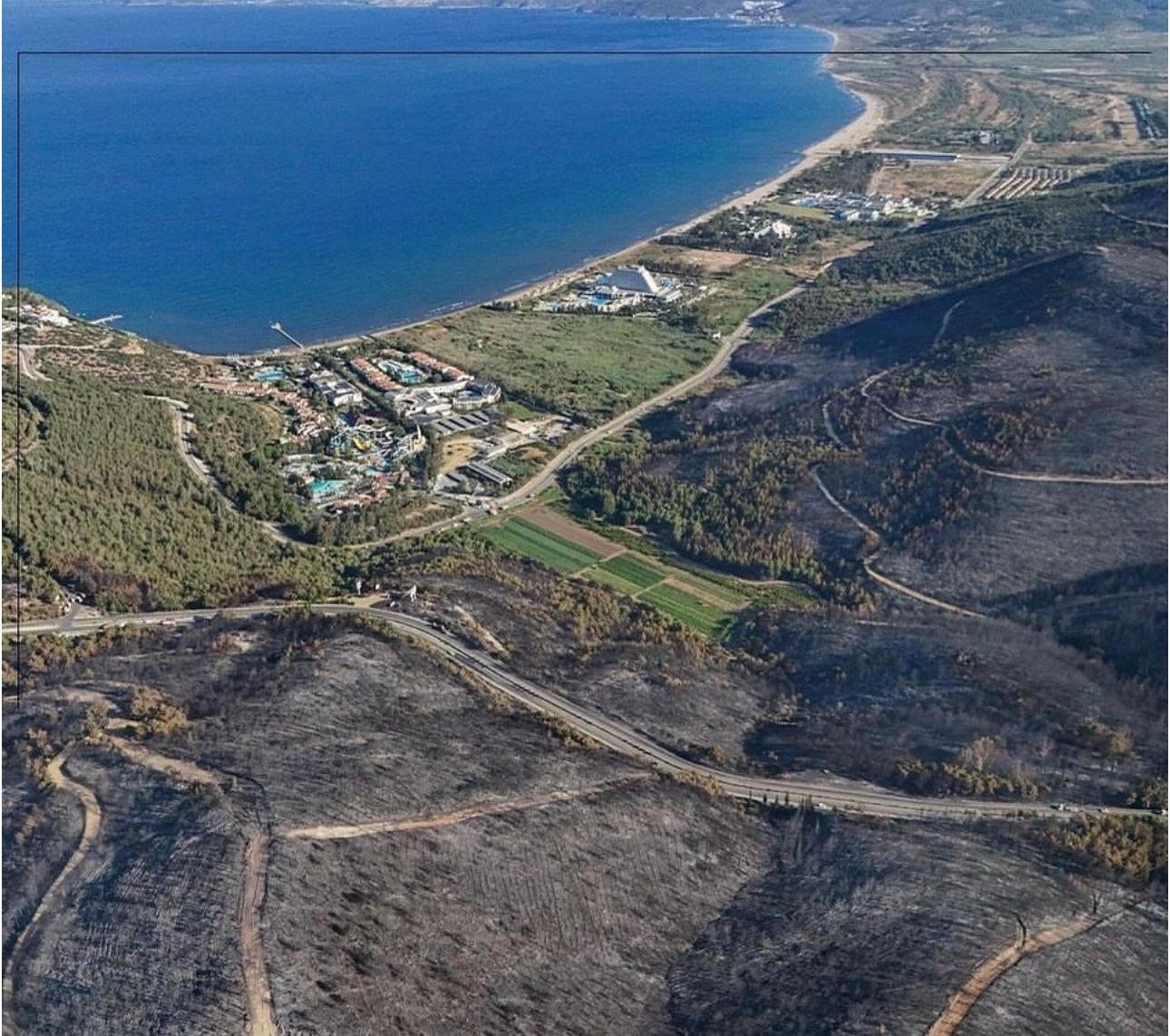 Başkan Günel yangın alanında incelemede bulundu
