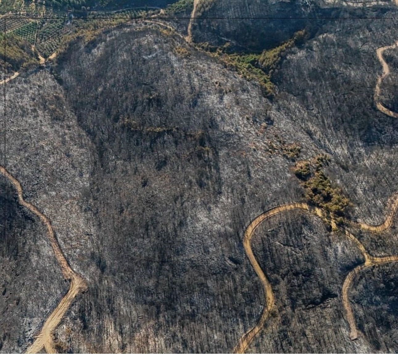 Başkan Günel yangın alanında incelemede bulundu
