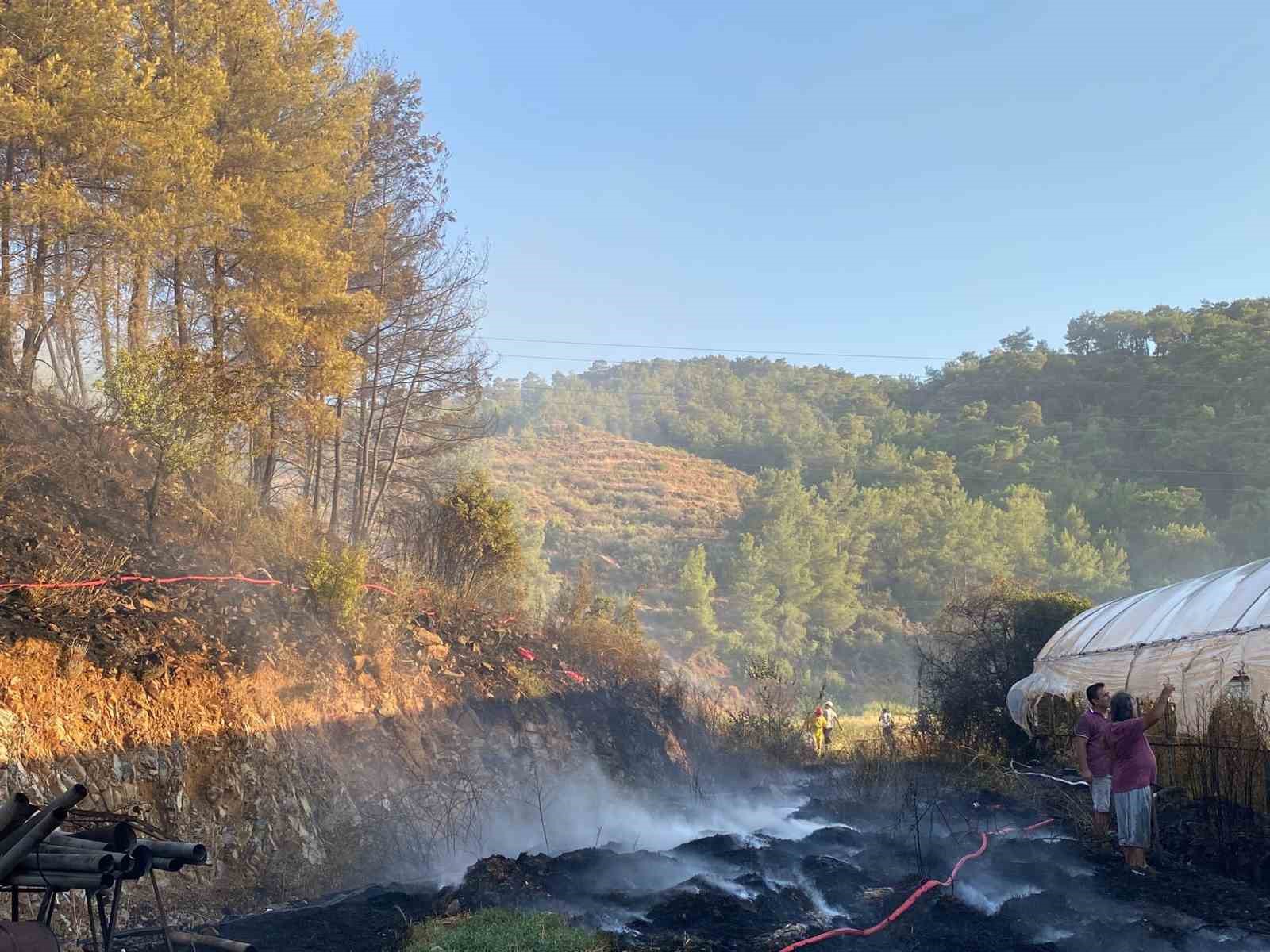 Ortaca’daki yangında 2 sera zarar gördü
