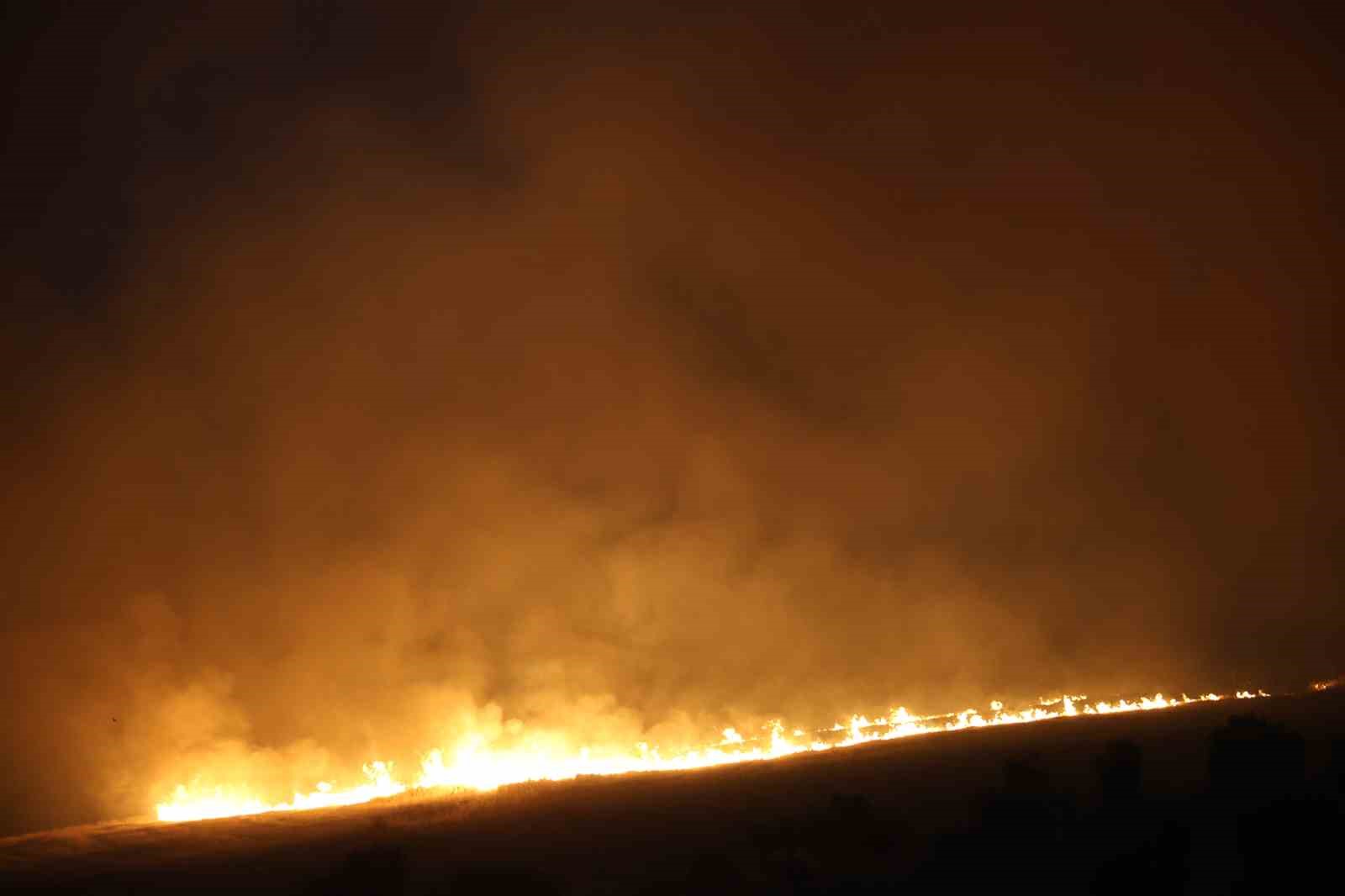 Kahramanmaraş’ta anız ve örtü yangını
