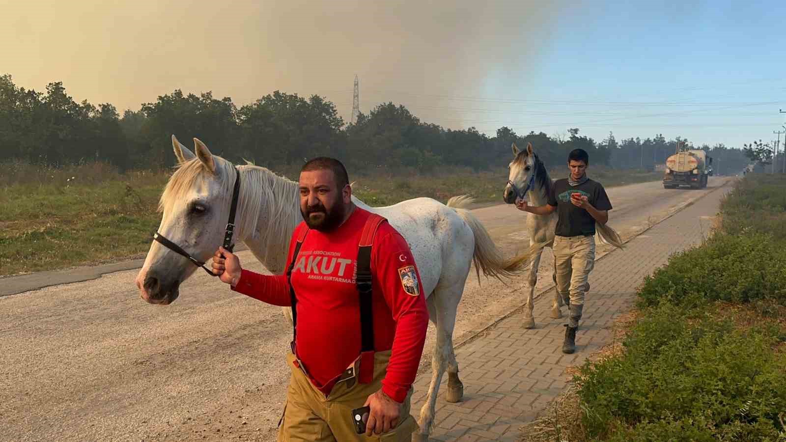 Alevler fakülteye kadar geldi, atlar tahliye edildi
