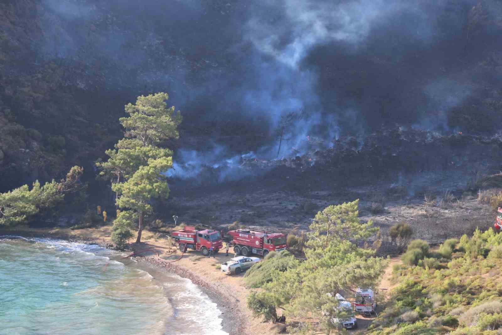 Başkan Ünlü yangın alanlarında incelemelerde bulundu
