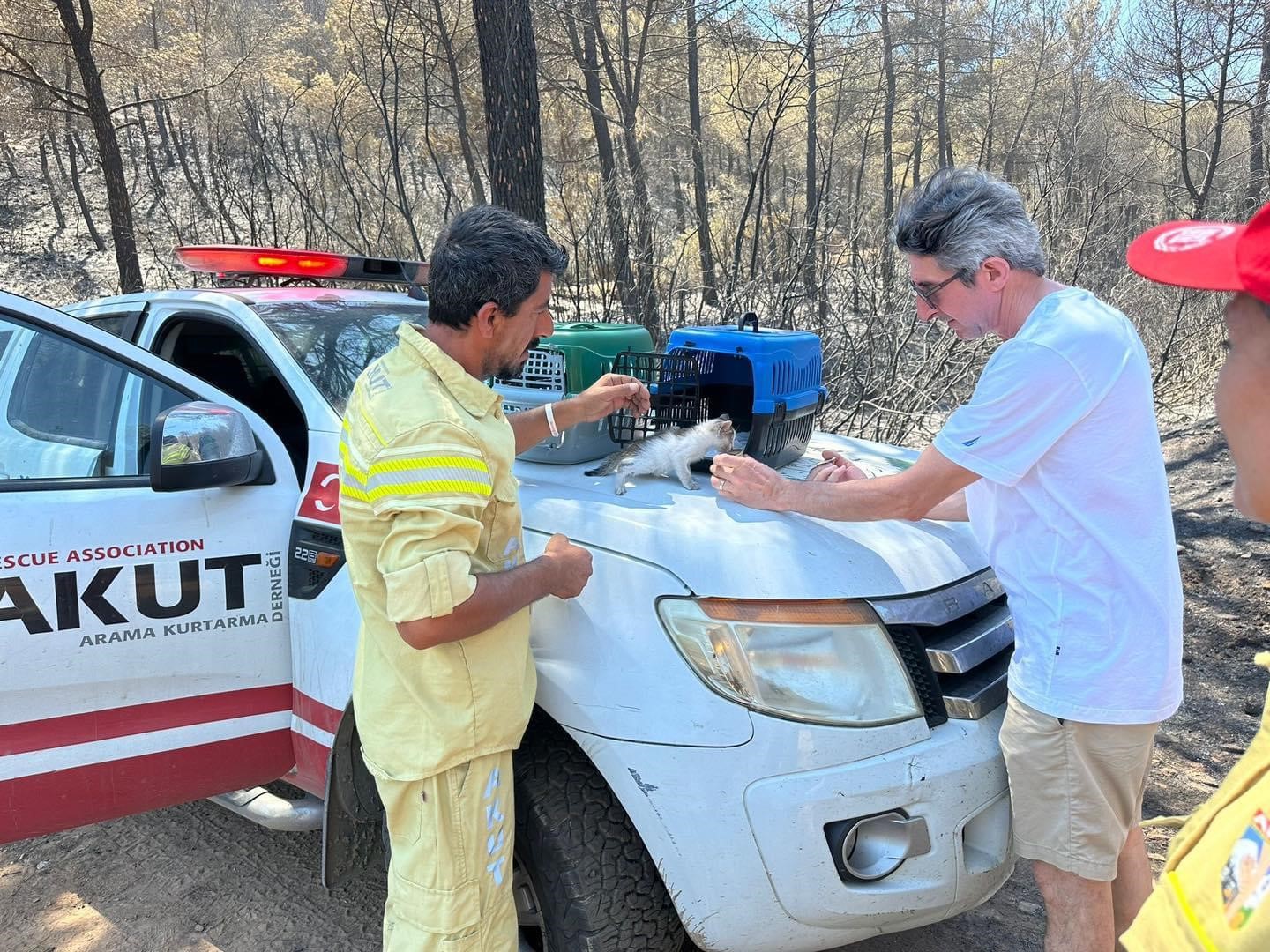 AKUT Kuşadası ekibi, orman yangının ardından hayvanlara destek sağladı
