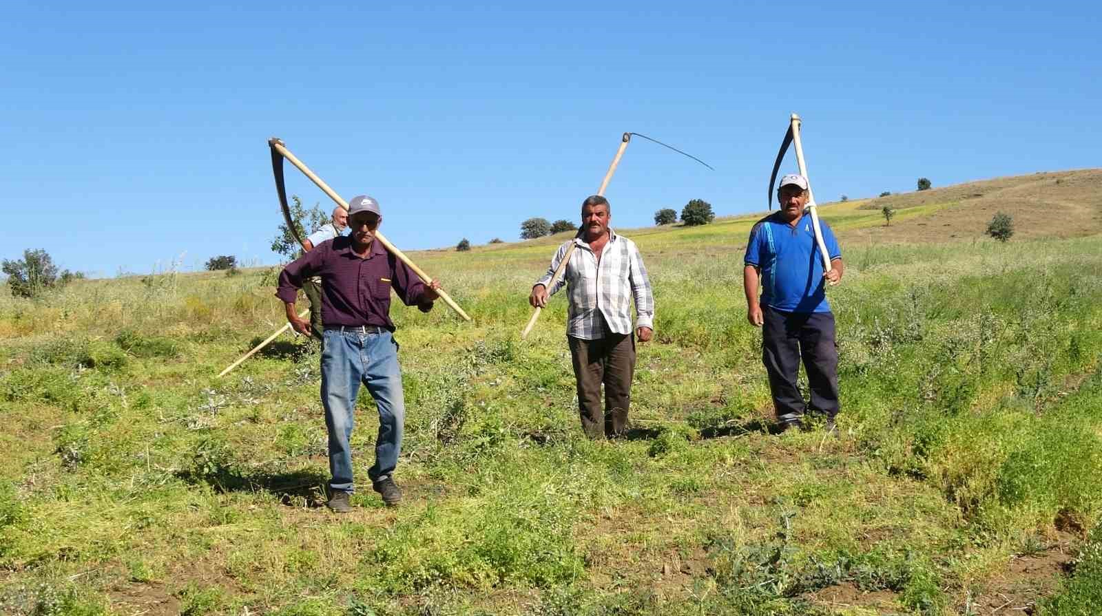 Aylıkları 45 bin liraya geliyor, ancak sayıları her geçen yıl azalıyor
