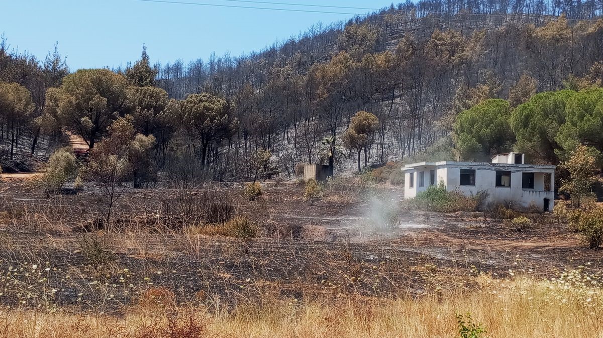 Kuşadası’ndaki orman yangınında antik su kemeri zarar gördü
