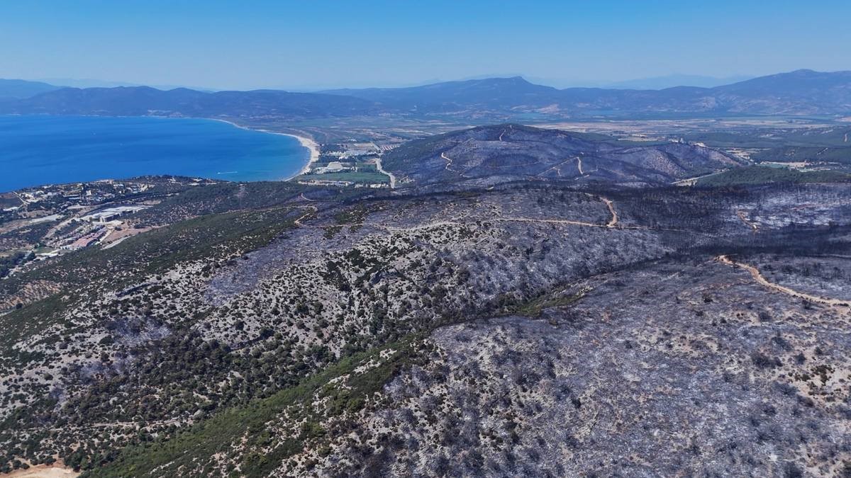 Kuşadası’ndaki orman yangınında antik su kemeri zarar gördü
