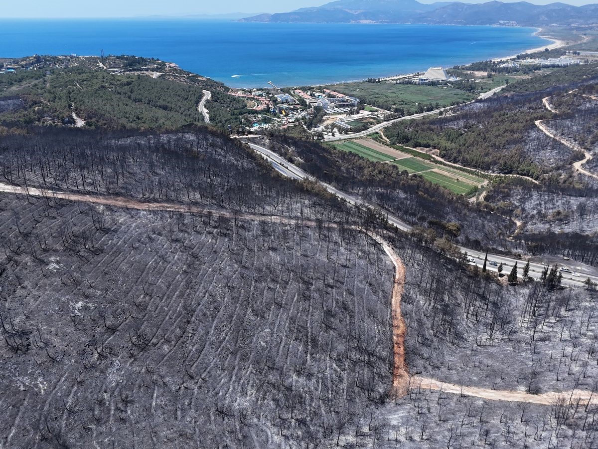 Kuşadası’ndaki orman yangınında antik su kemeri zarar gördü
