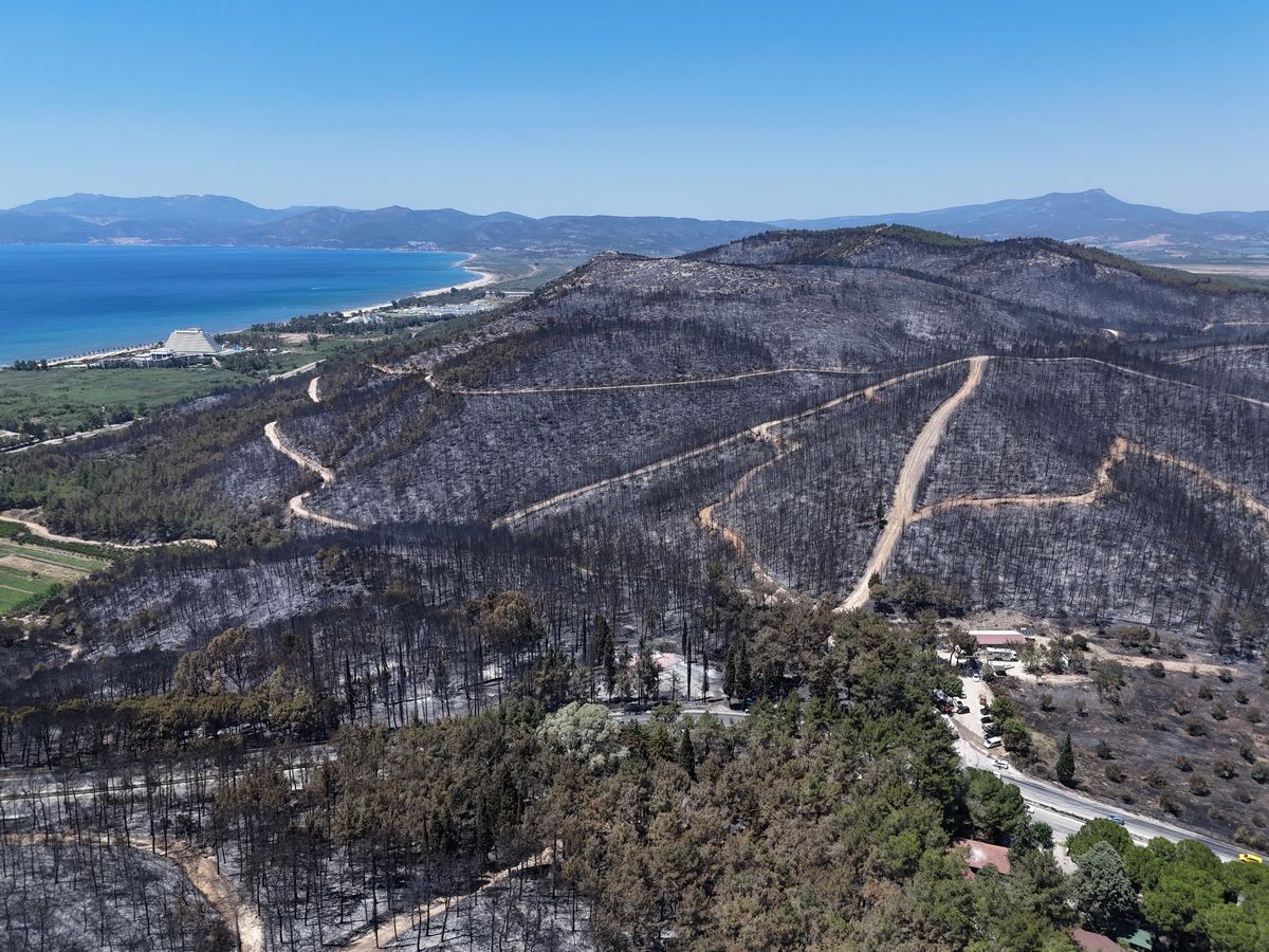 Kuşadası’ndaki orman yangınında antik su kemeri zarar gördü
