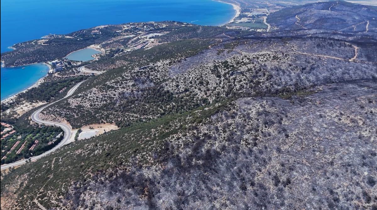 Kuşadası’ndaki orman yangınında antik su kemeri zarar gördü
