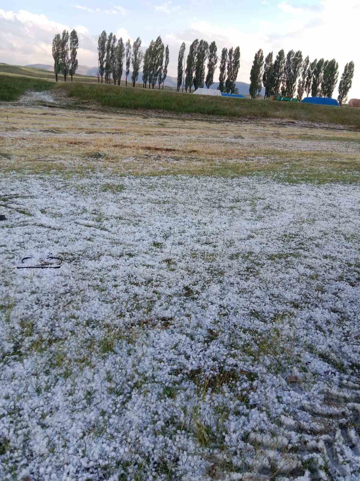 Ağrı’da etkili olan dolu tarımda zarara neden oldu
