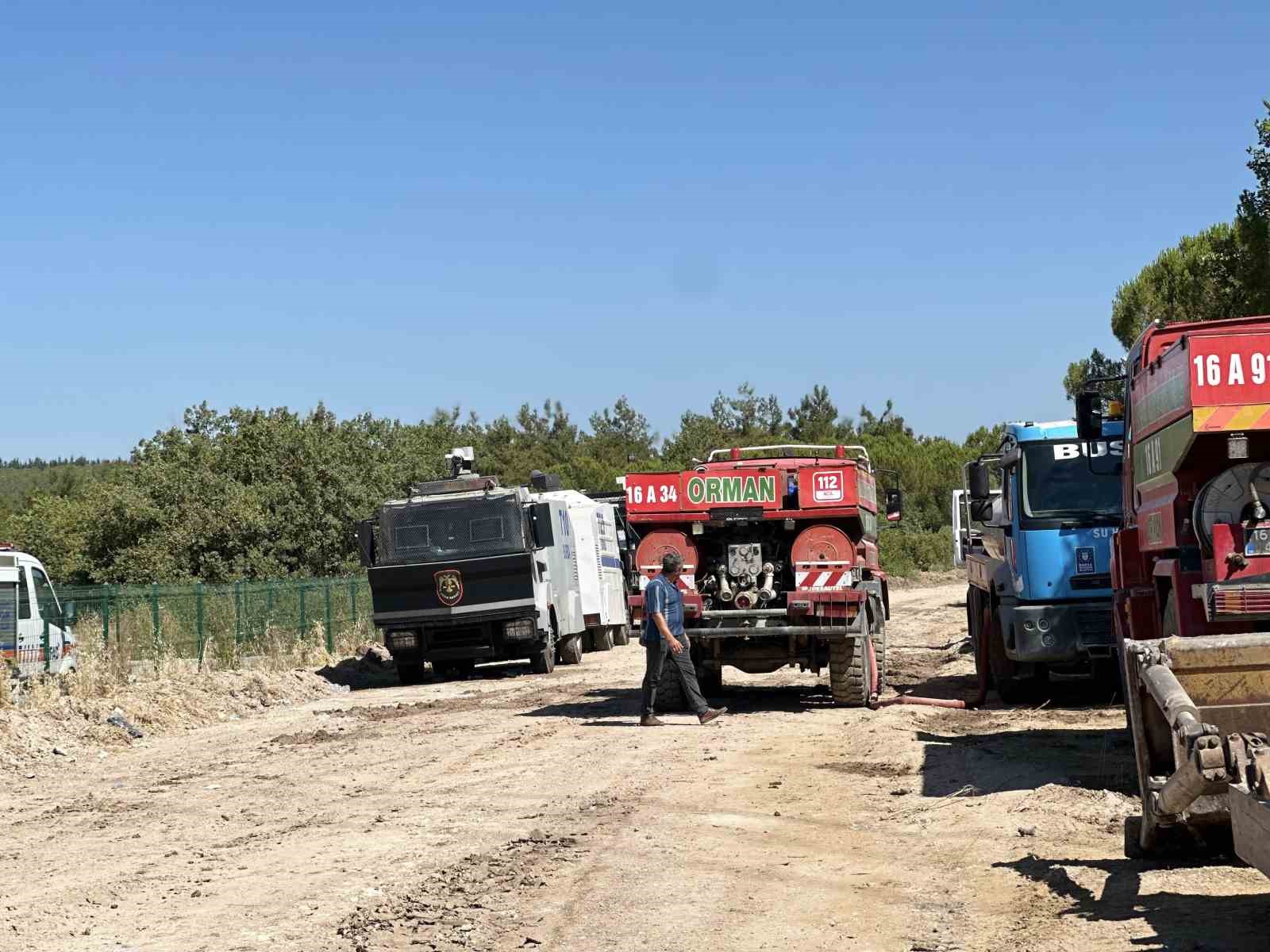 Üniversitenin küle dönen çamla kaplı ormanı böyle görüntülendi
