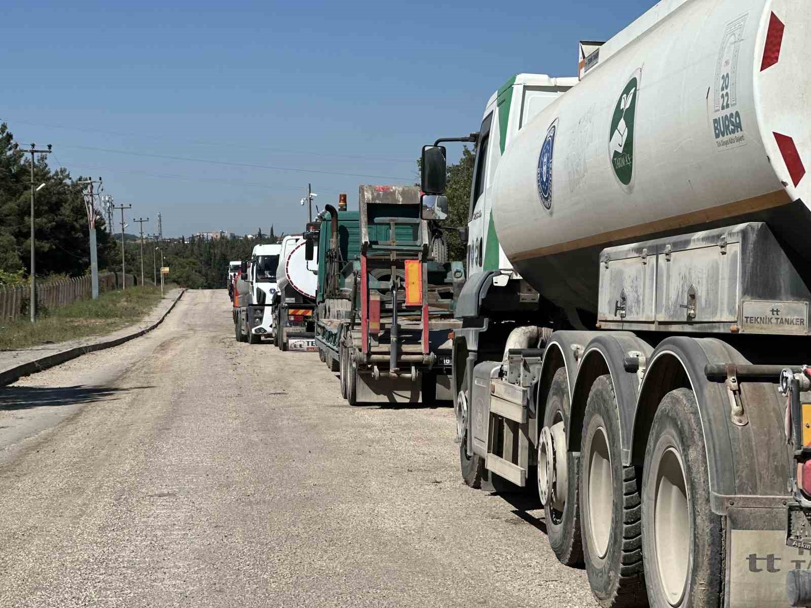 Üniversitenin küle dönen çamla kaplı ormanı böyle görüntülendi
