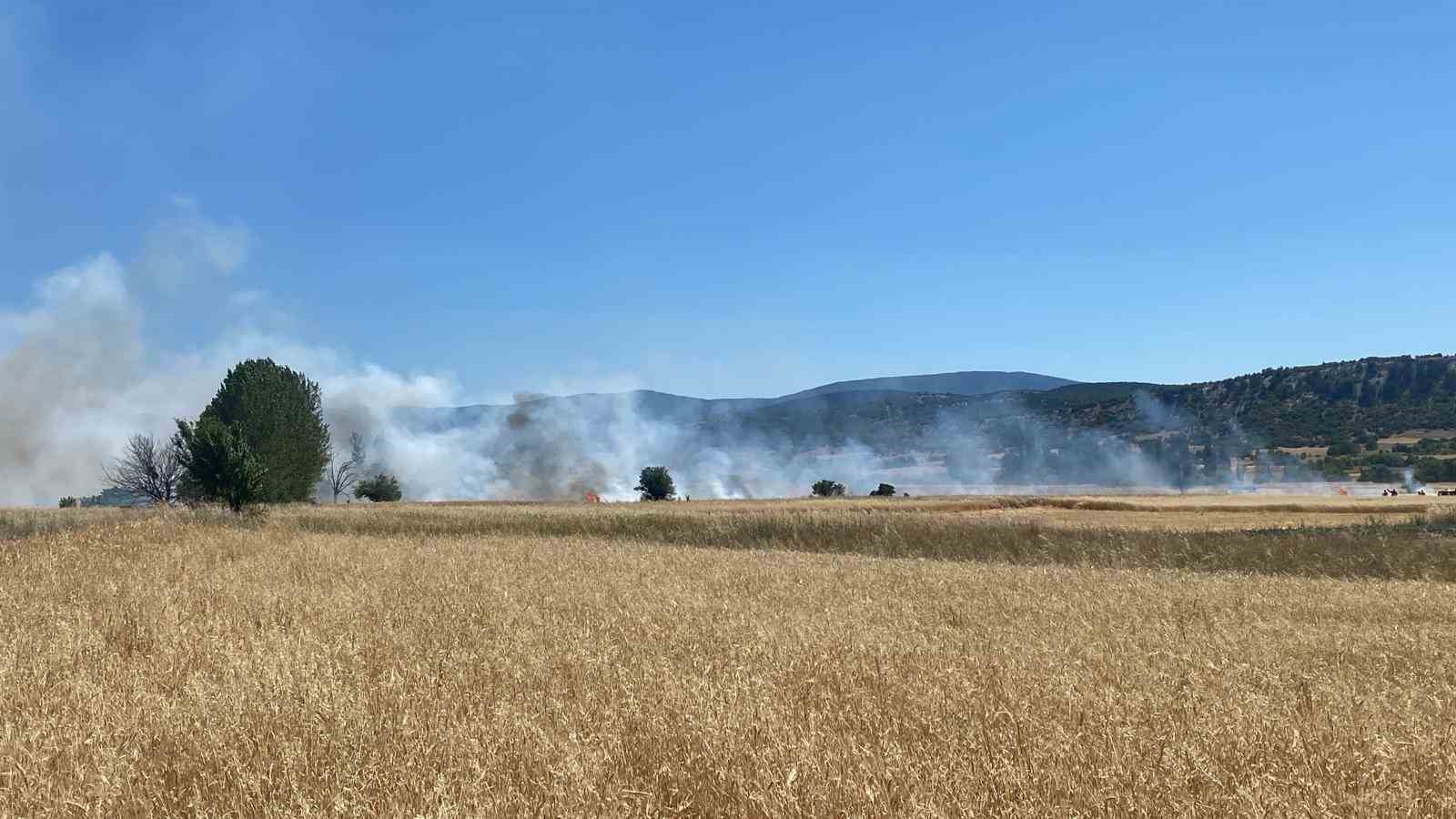 Tavşanlı’da buğday ekili alanda çıkan yangın kısa sürede söndürüldü
