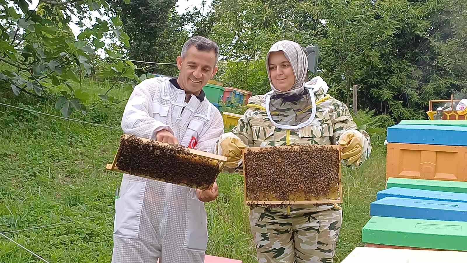 Yığılca arısına dünya arıcılarından yoğun talep
