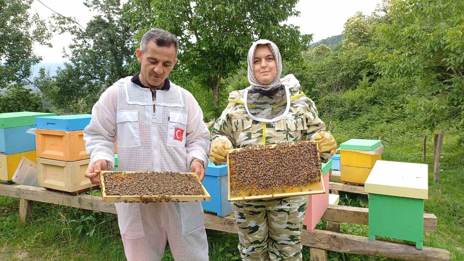 Yığılca arısına dünya arıcılarından yoğun talep
