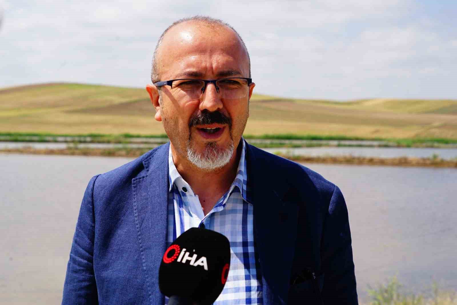 Uzmanından önemli tavsiye: ’Mikrobiyal gübreleme ve lazerli tesviye ile verim arttırılabilir’
