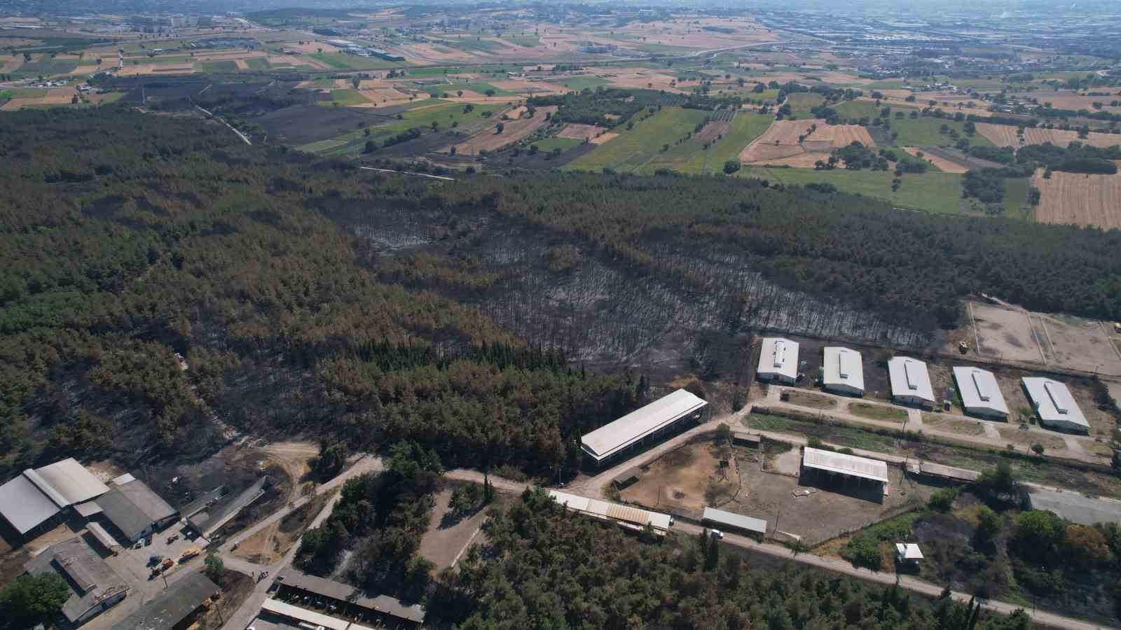 Uludağ Üniversitesi’ndeki yangının hasarı ortaya çıktı: 897 dekar orman ve biçilmiş alan küle döndü
