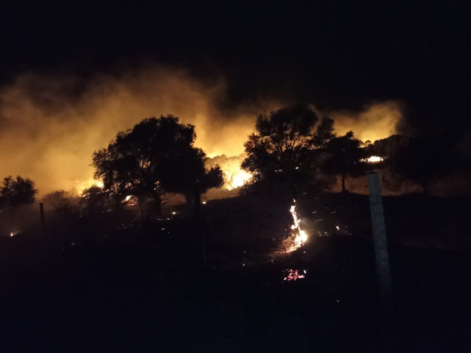 Sazlı’daki yangının şüphelileri jandarmadan kaçamadı
