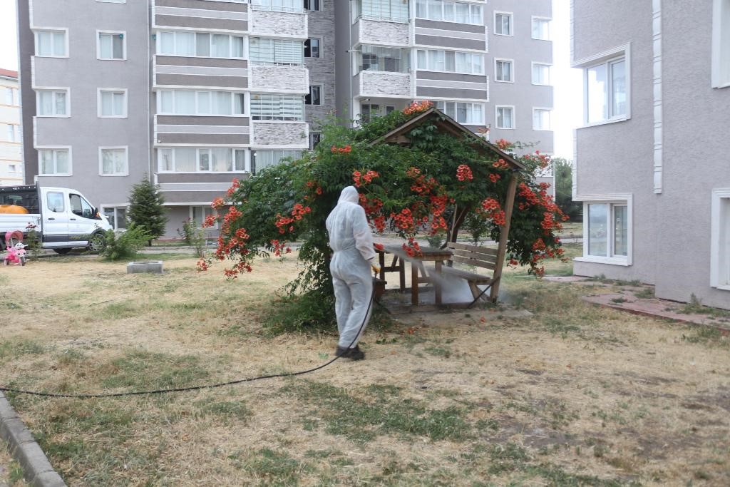 Havaların ısınmasıyla ilaçlama çalışmalarına hız verildi
