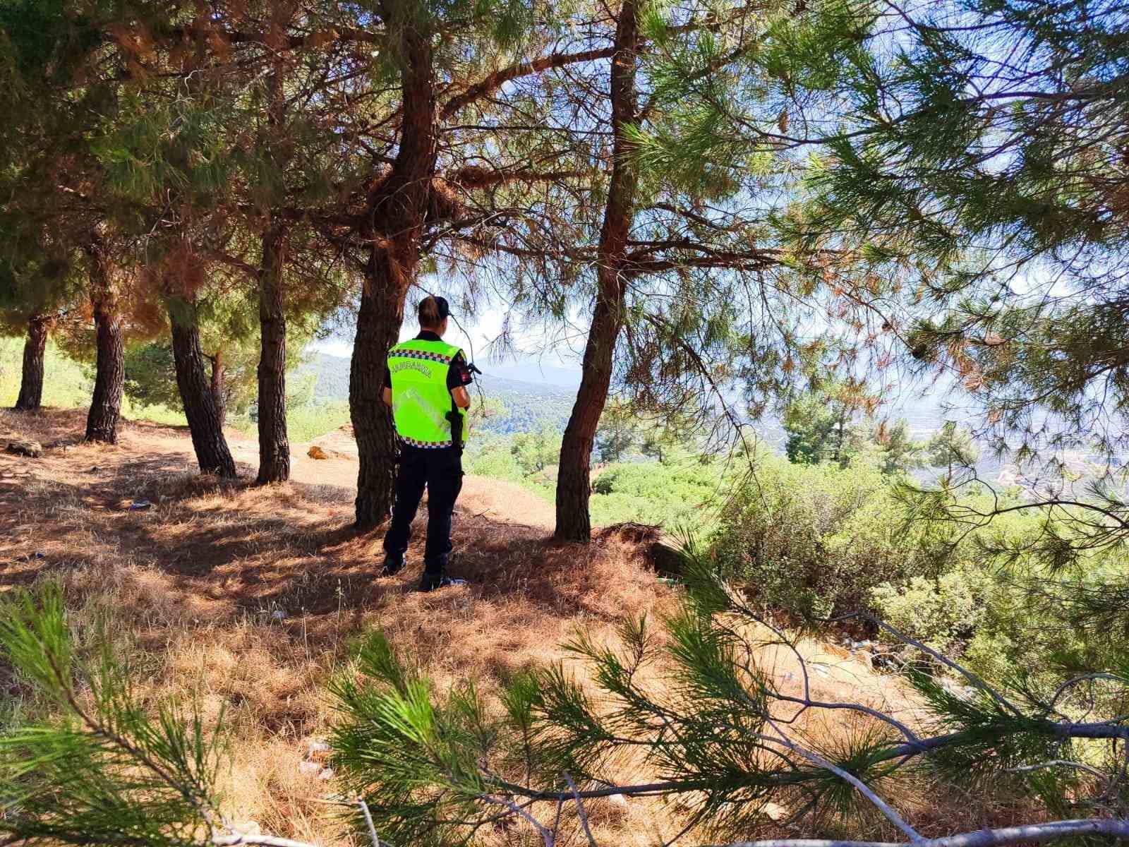 Jandarma ekipleri yasak bölgeye giren şahıslara cezai işlem uyguladı
