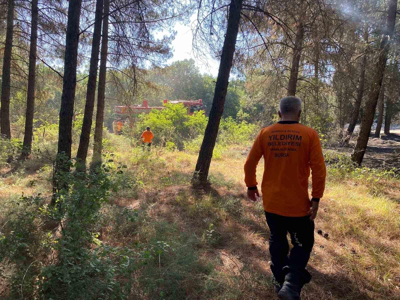 Yıldırım’dan yangın söndürme çalışmalarına tam destek
