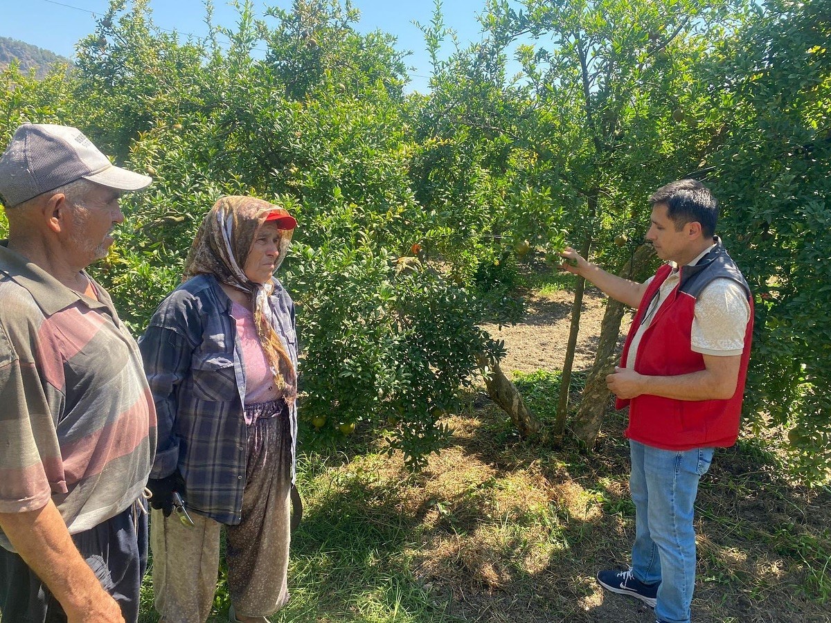 Muğla’da ’zararlı’ kontrolü
