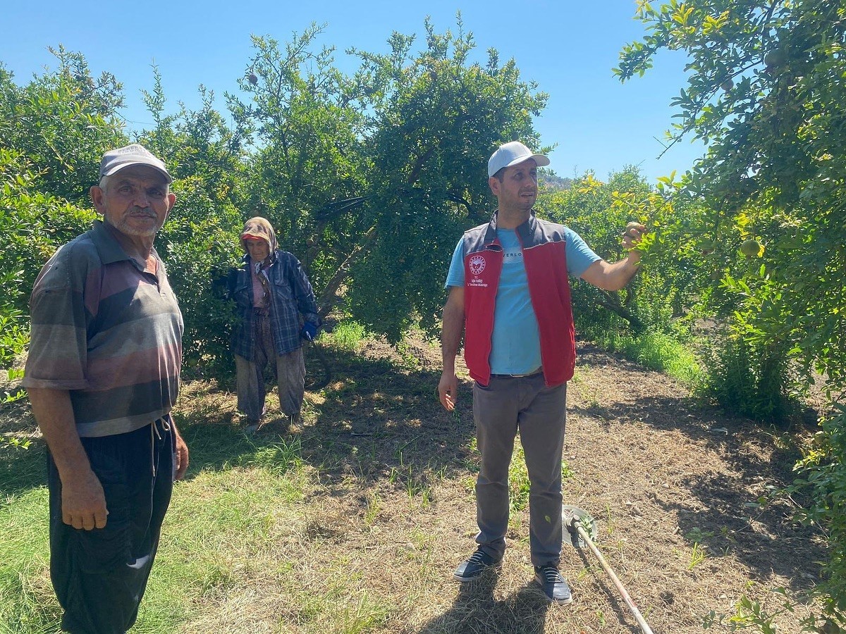 Muğla’da ’zararlı’ kontrolü
